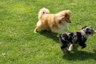merly und sky 28